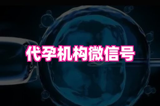 深圳助孕网站 2