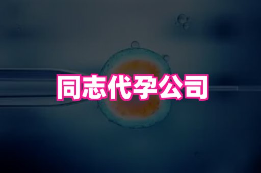 深圳助孕网站 4